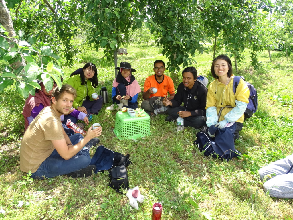 Le wwoofing, une grande famille