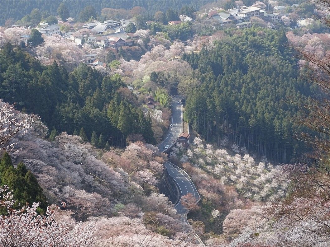 Le Mont Yoshino au Japon