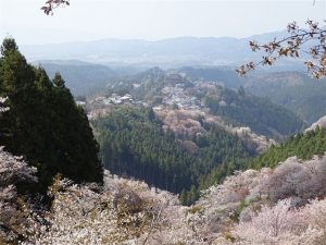 La montagne aux Sakura