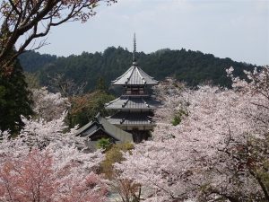 Une pagode entourée de Sakuras