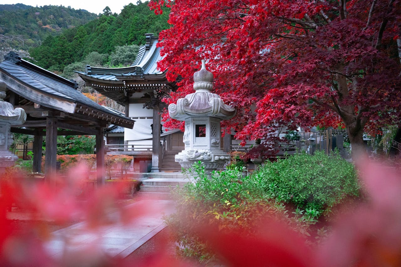 L'automne au Japon