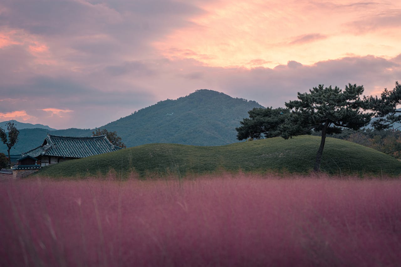 Les montagnes à Gyeongju